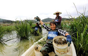 綜合開發(fā)項(xiàng)目
